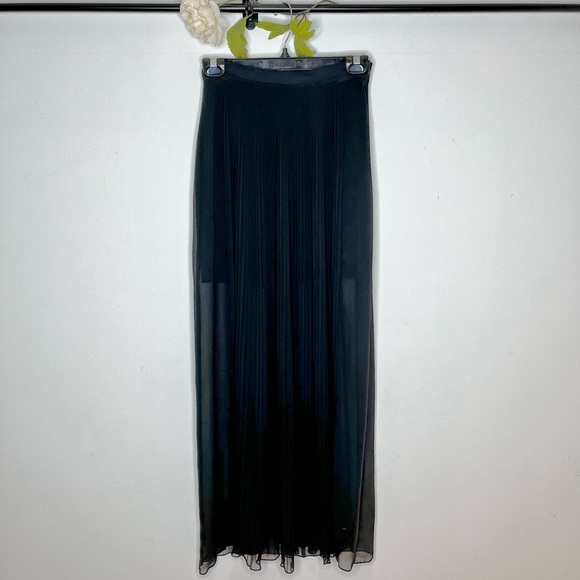 Zara Pleated Semi-Sheer Maxi Skirt - Picture 2 of 9